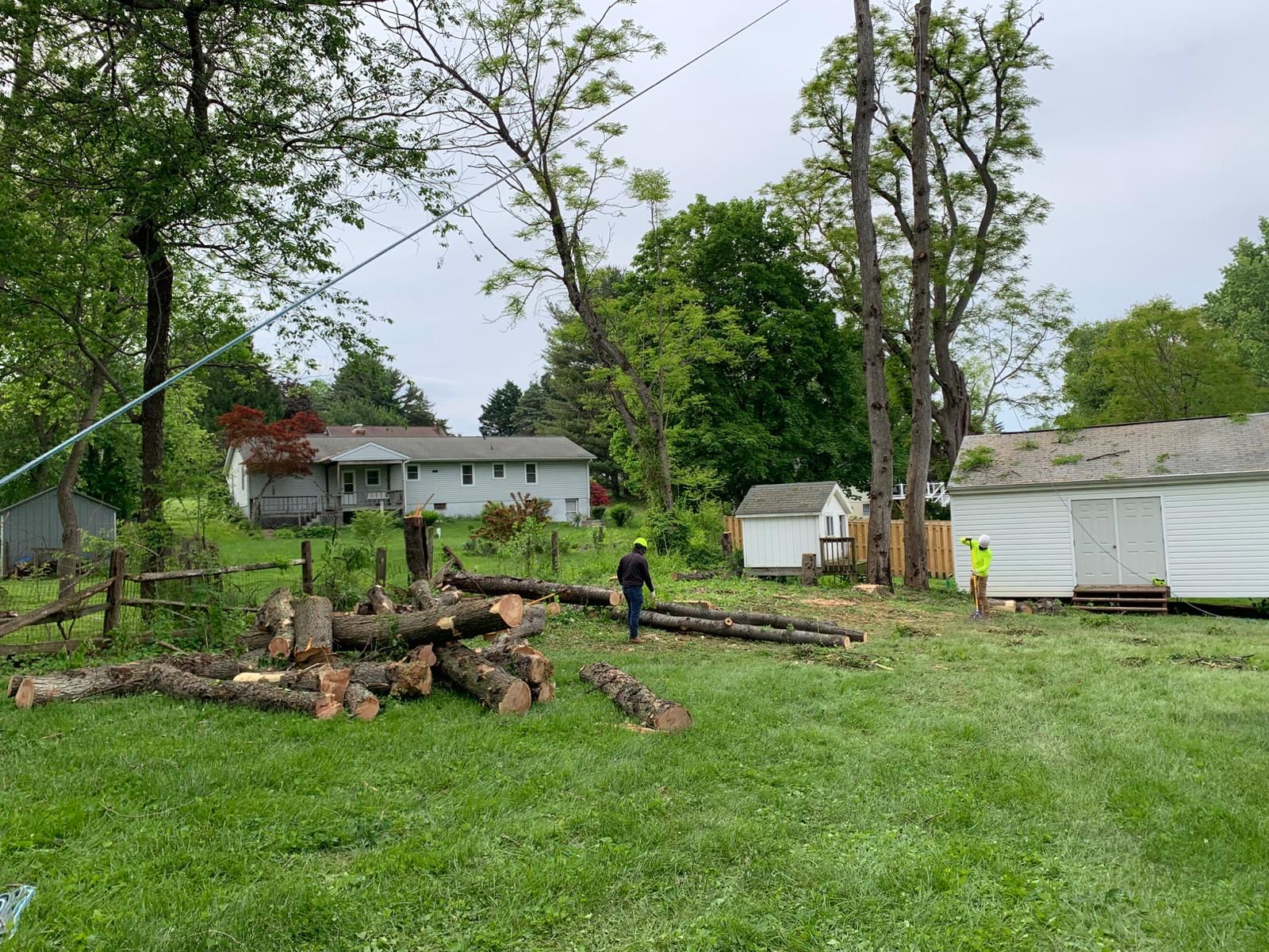 EXPRESS TREE SERVICES 410-501-7997