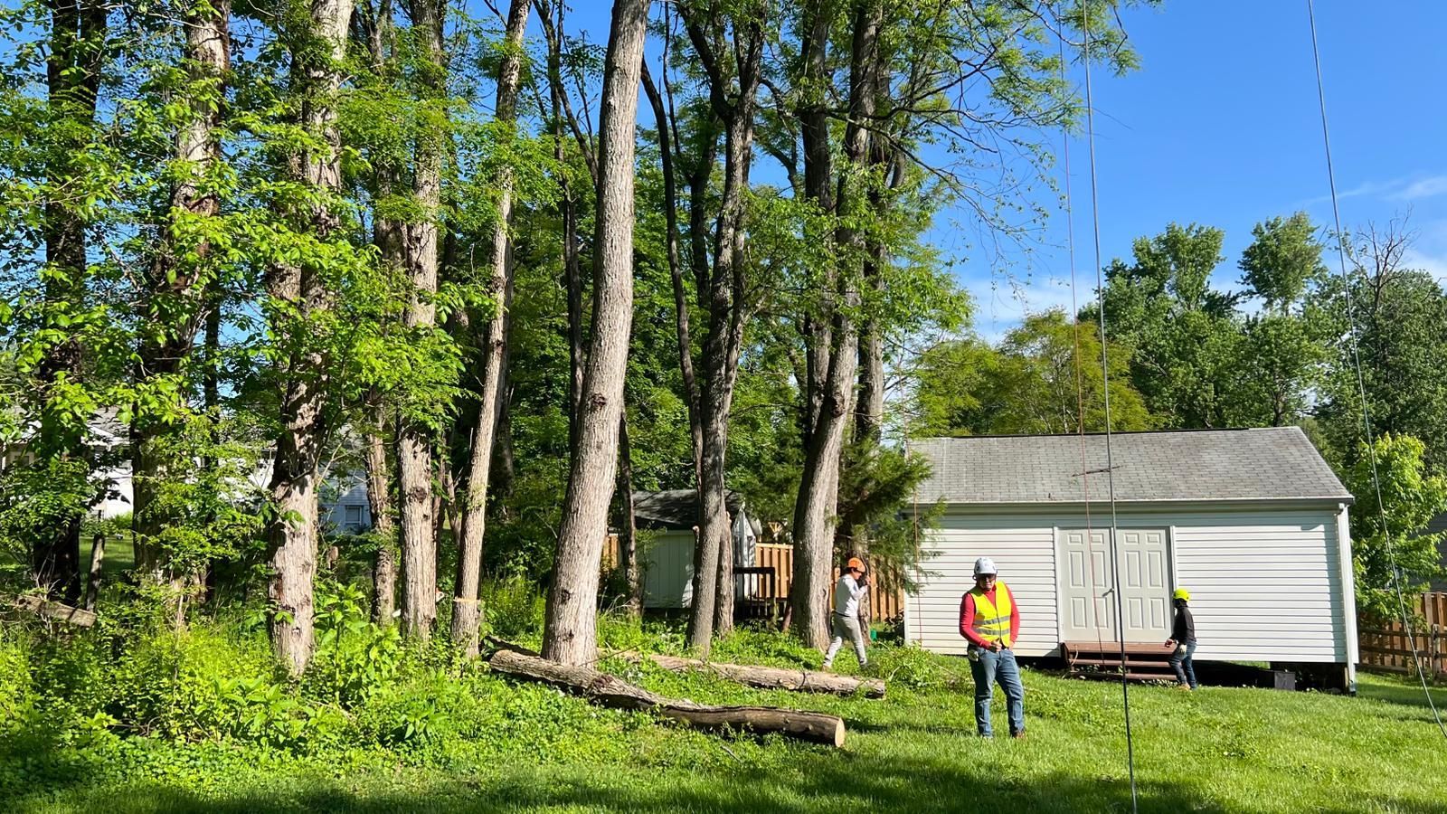 EXPRESS TREE SERVICES 410-501-7997