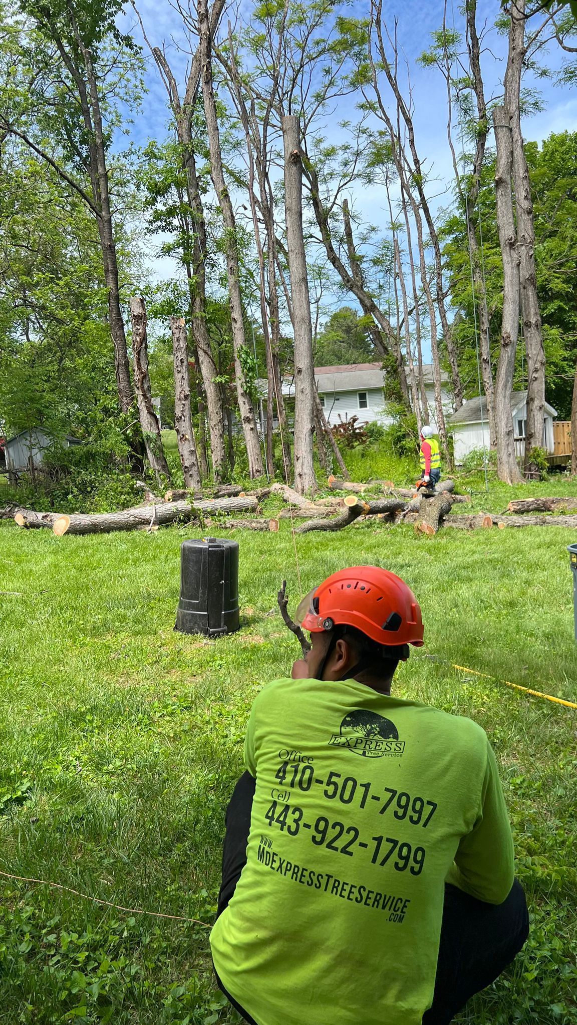 EXPRESS TREE SERVICES 410-501-7997