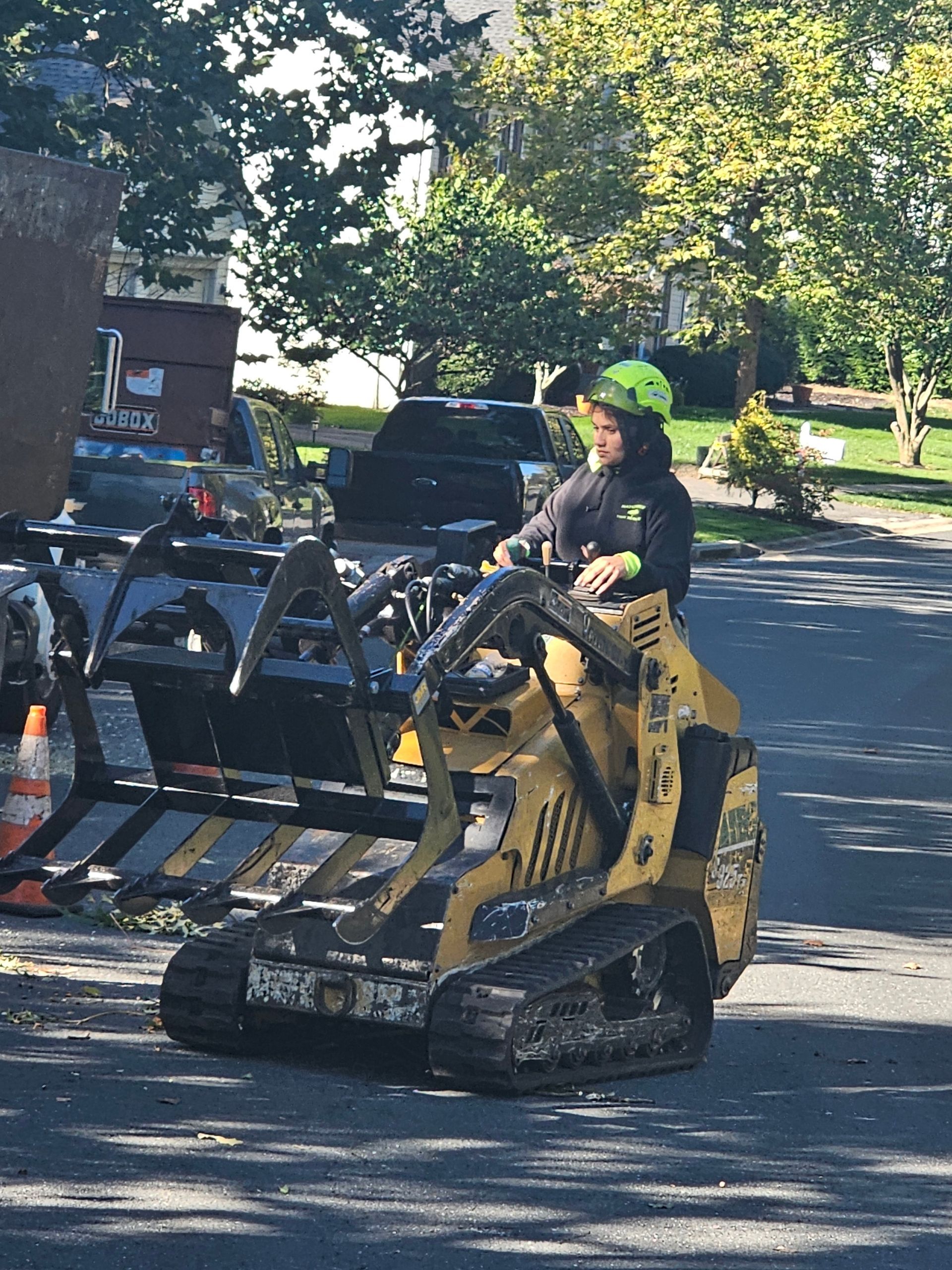 EXPRESS TREE SERVICES 410-501-7997 WOMAN TREE REMOVAL