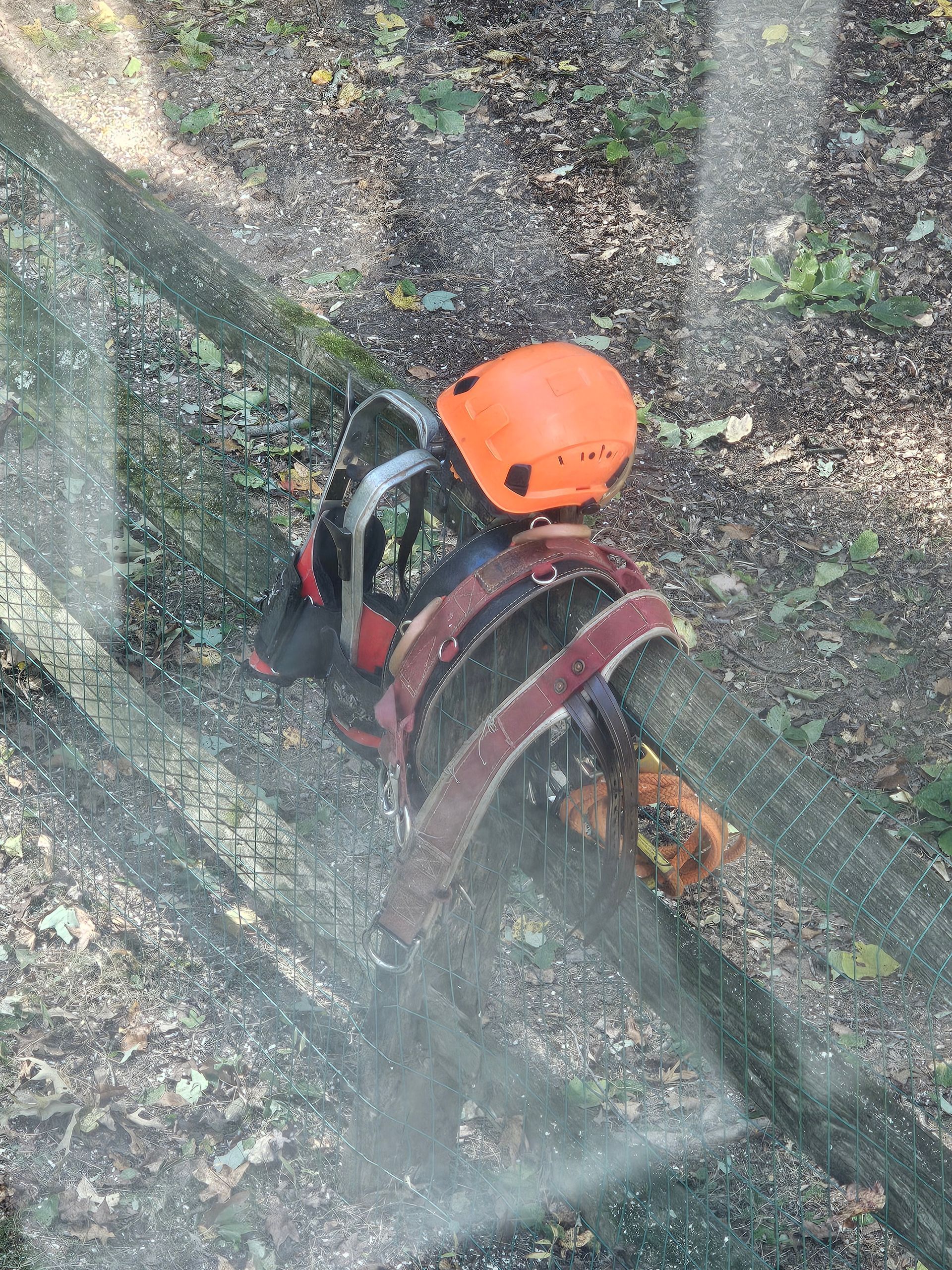 EXPRESS TREE SERVICES 410-501-7997 PROFESSIONAL 