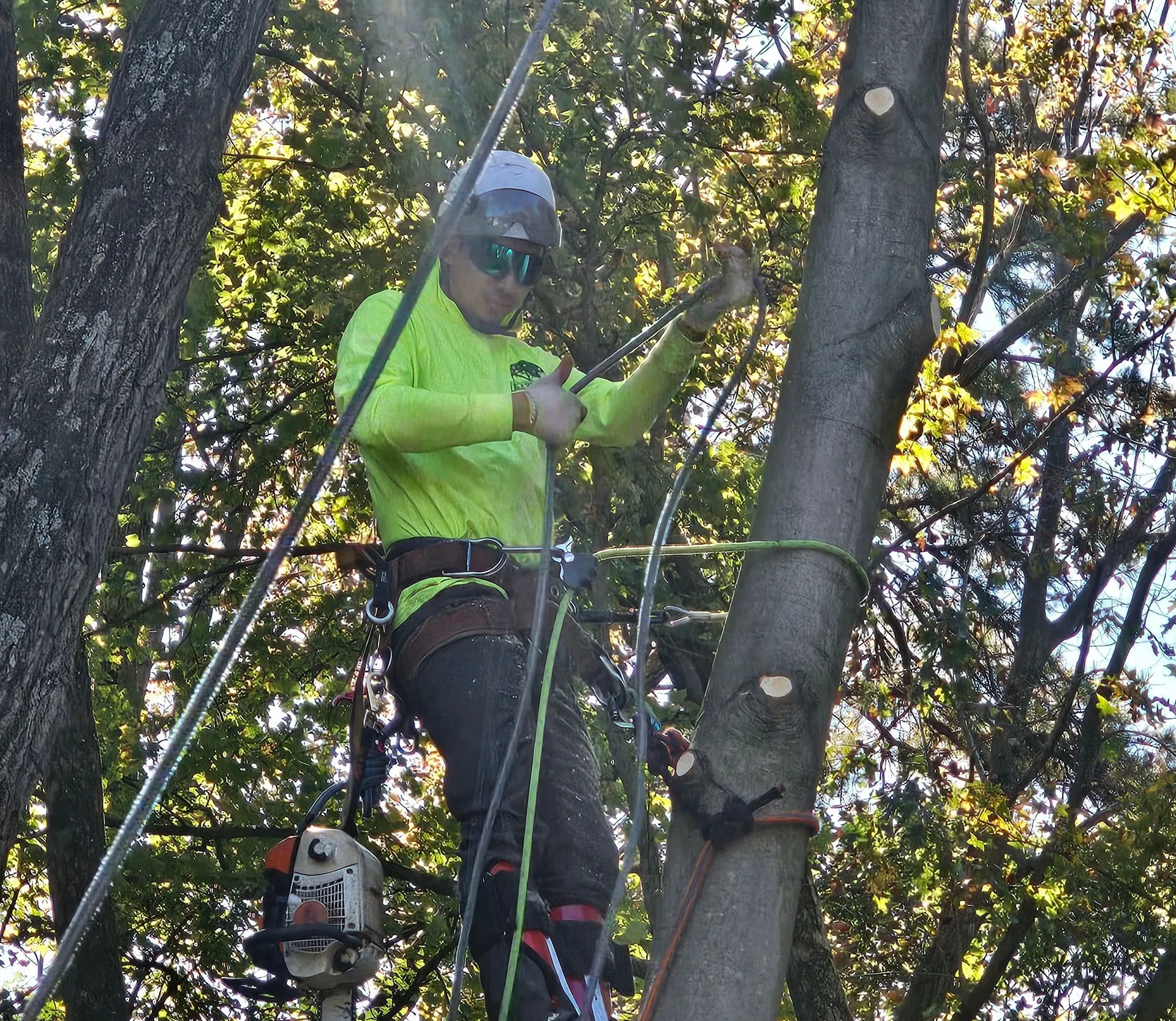 Lot & Land Clearing Services