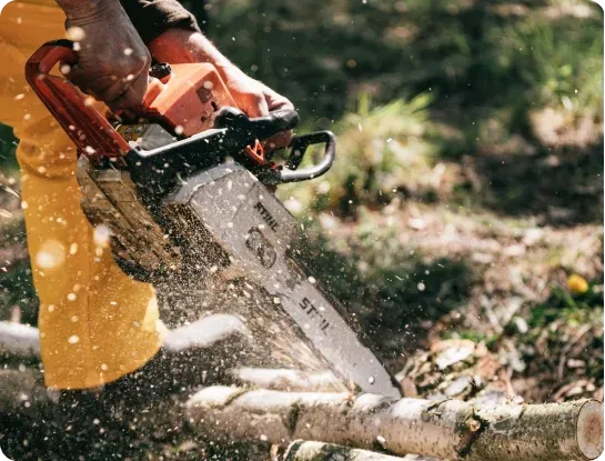 Tree removal operations
