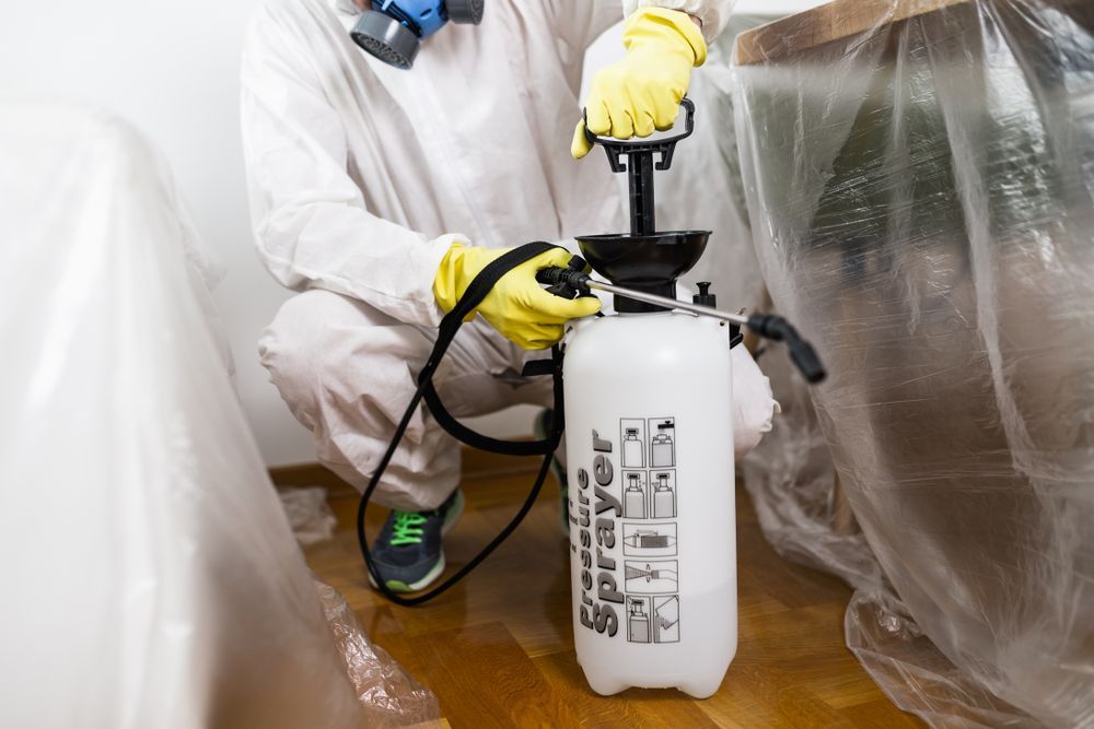 A Man In A Protective Suit Is Spraying Something With A Sprayer — Suncoast Termite & Pest In Nambour, QLD