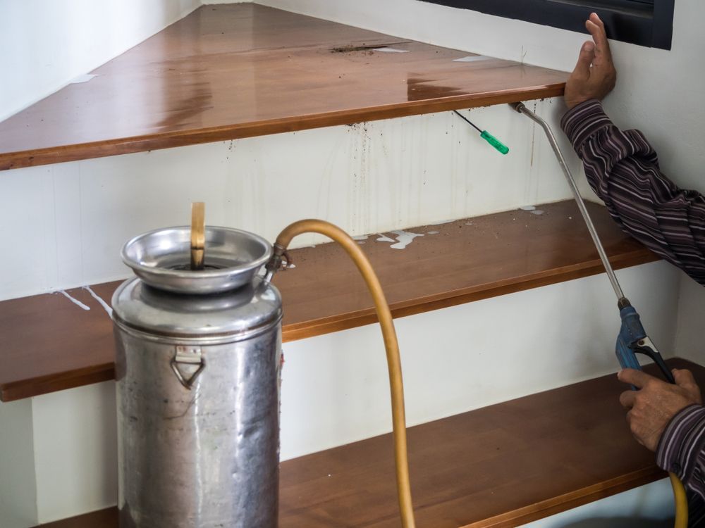 A Man Is Spraying A Wooden Staircase With A Sprayer — Suncoast Termite & Pest In Nambour, QLD