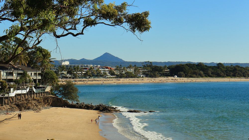 A Beach With A Mountain In The Background And A Tree In The Foreground — Suncoast Termite & Pest In Noosa, QLD
