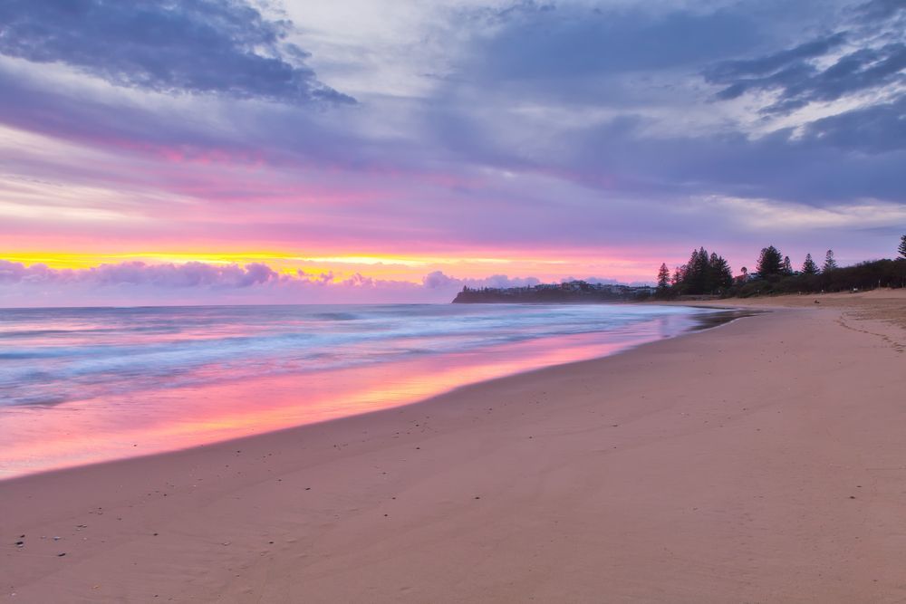 A Beach With A Sunset In The Background And Trees In The Foreground — Suncoast Termite & Pest In Sunshine Coast, QLD