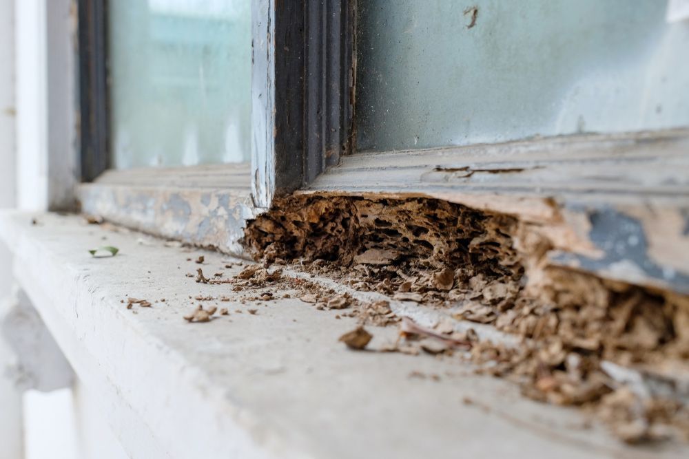 Closer Look Of A Termite Damage House