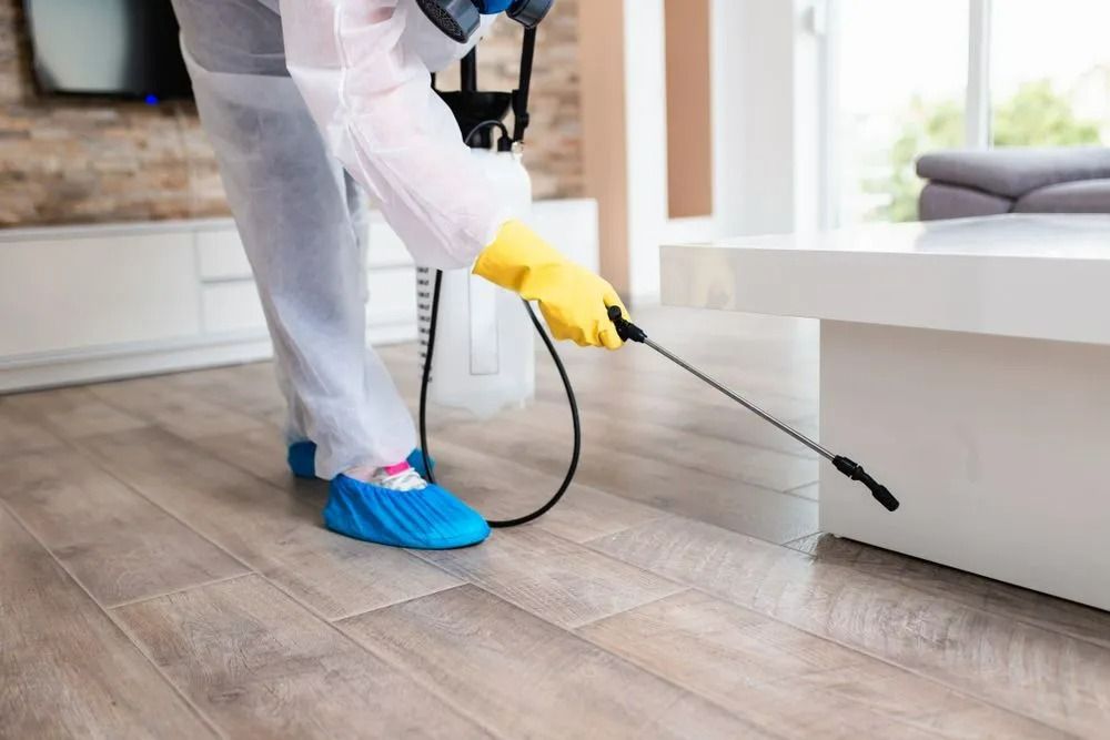 Termite Barrier Treatment In Sunshine Coast