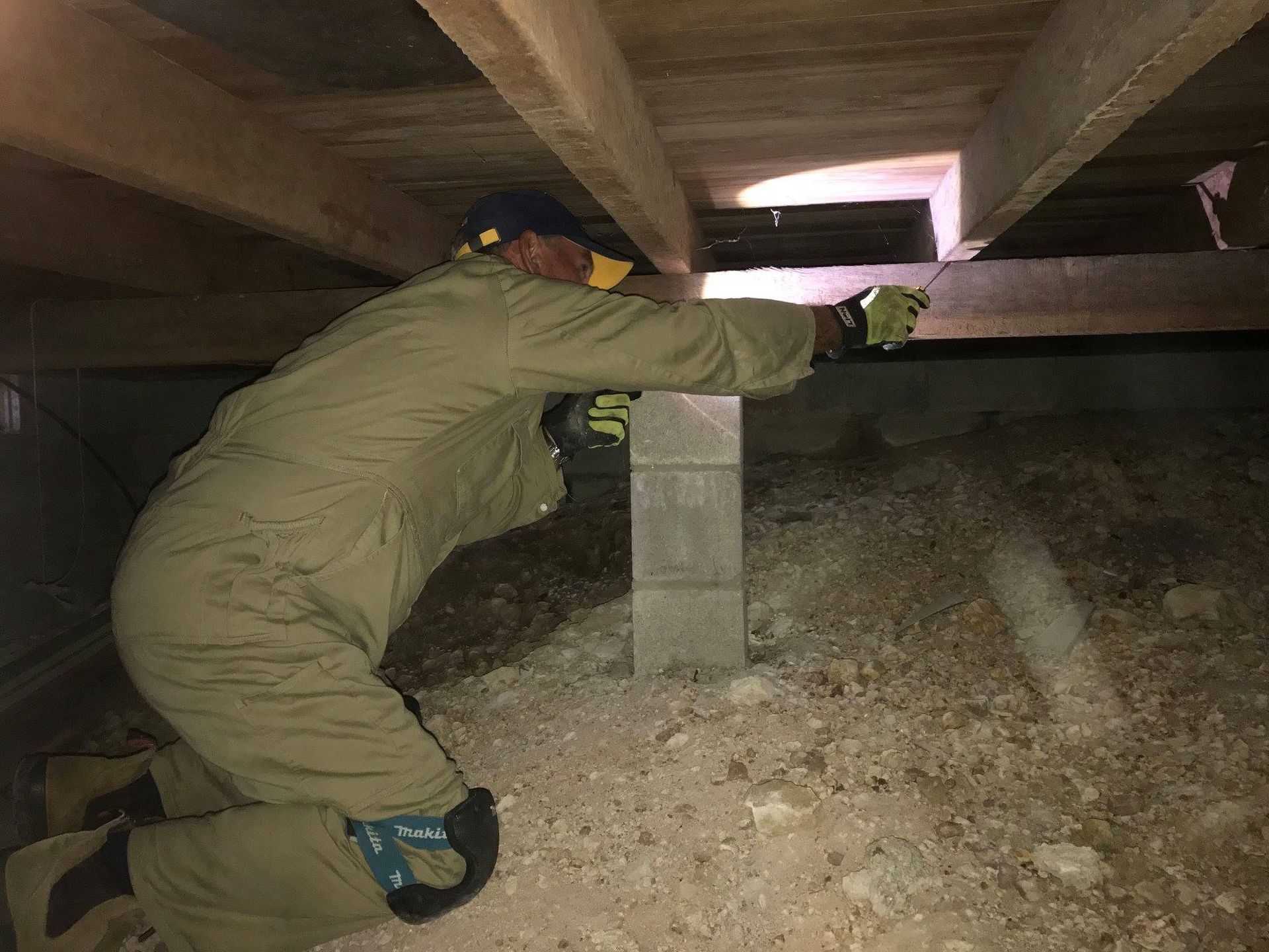 Worker Doing Termite Inspection on the Sunshine Coast