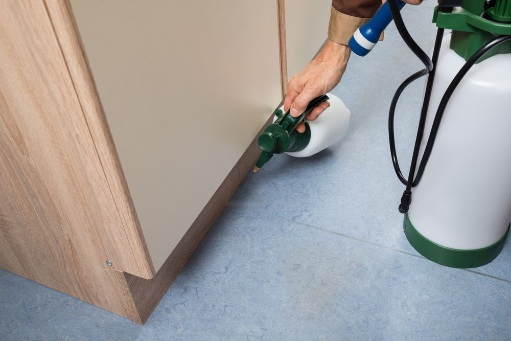 Chemical Termite Barrier