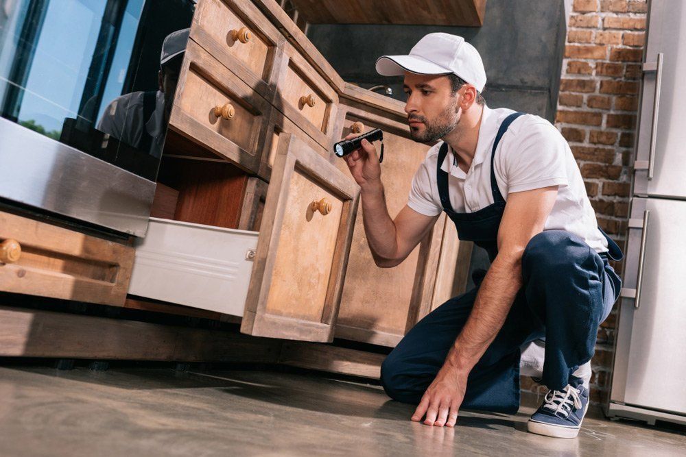 A Man Is Kneeling Down In A Kitchen Looking At A Drawer With A Flashlight — Suncoast Termite & Pest In Nambour, QLD