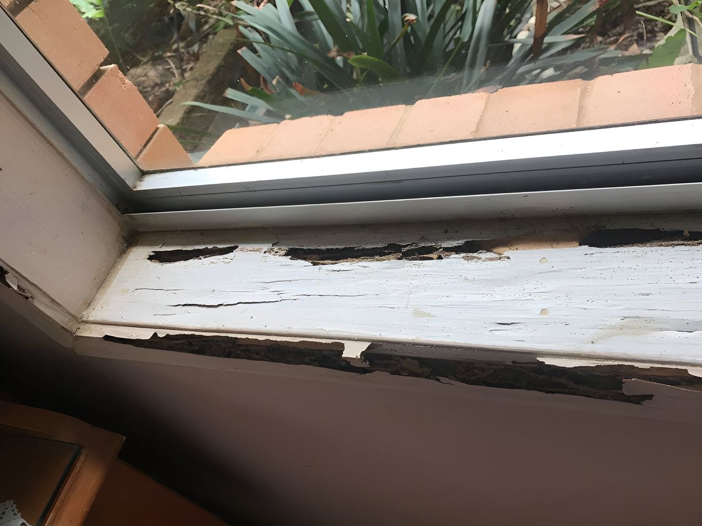 Termite Damage On Rotting Wooden Windowsill Interior Frame
