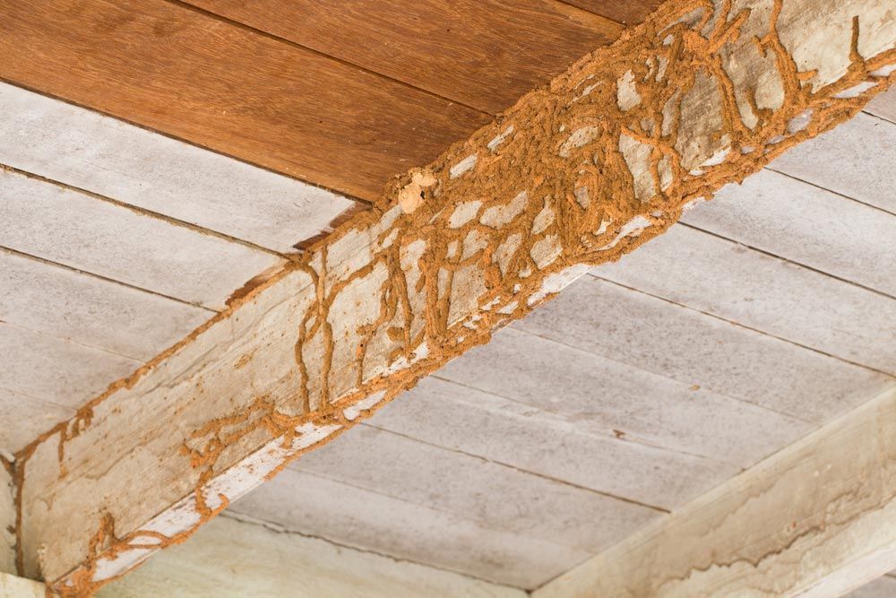 Wooden structure affected by termite damage