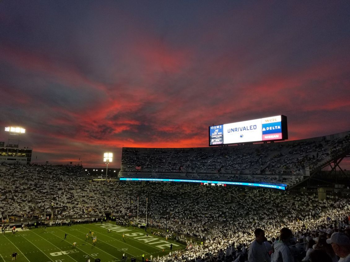 Manage sports bets with powerful and convenient mobile app