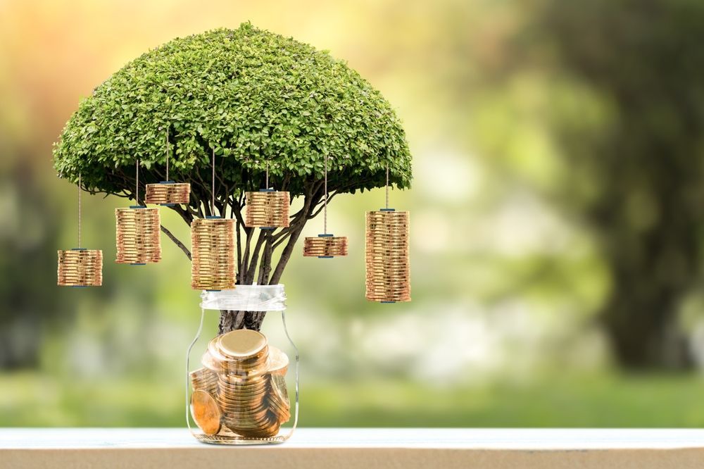 Green tree with coins in jar, hanging containers; financial growth concept.