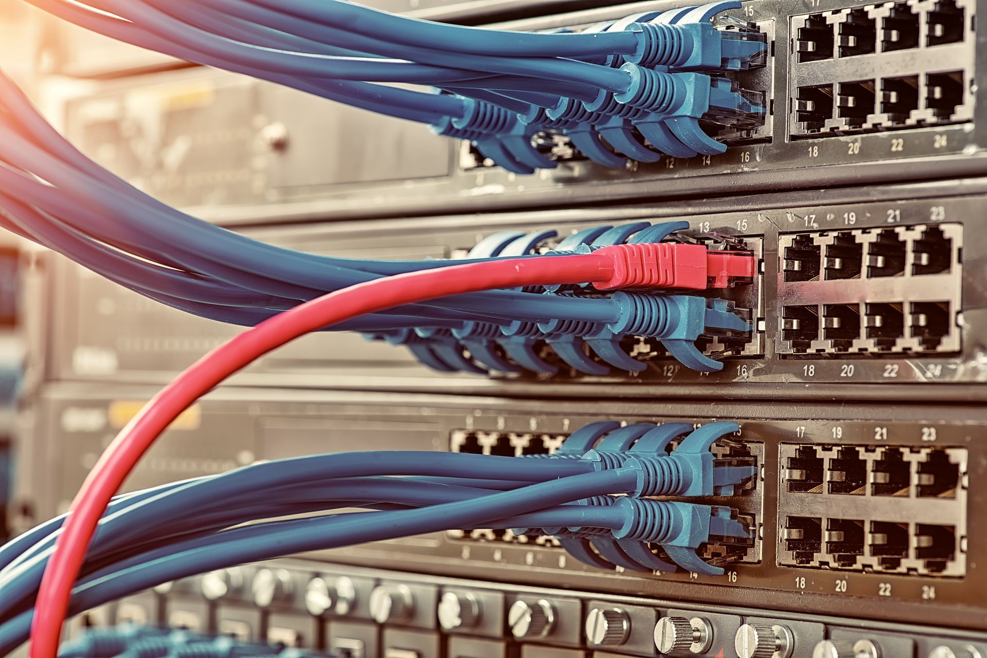 Network server rack with blue and red Ethernet cables connected.