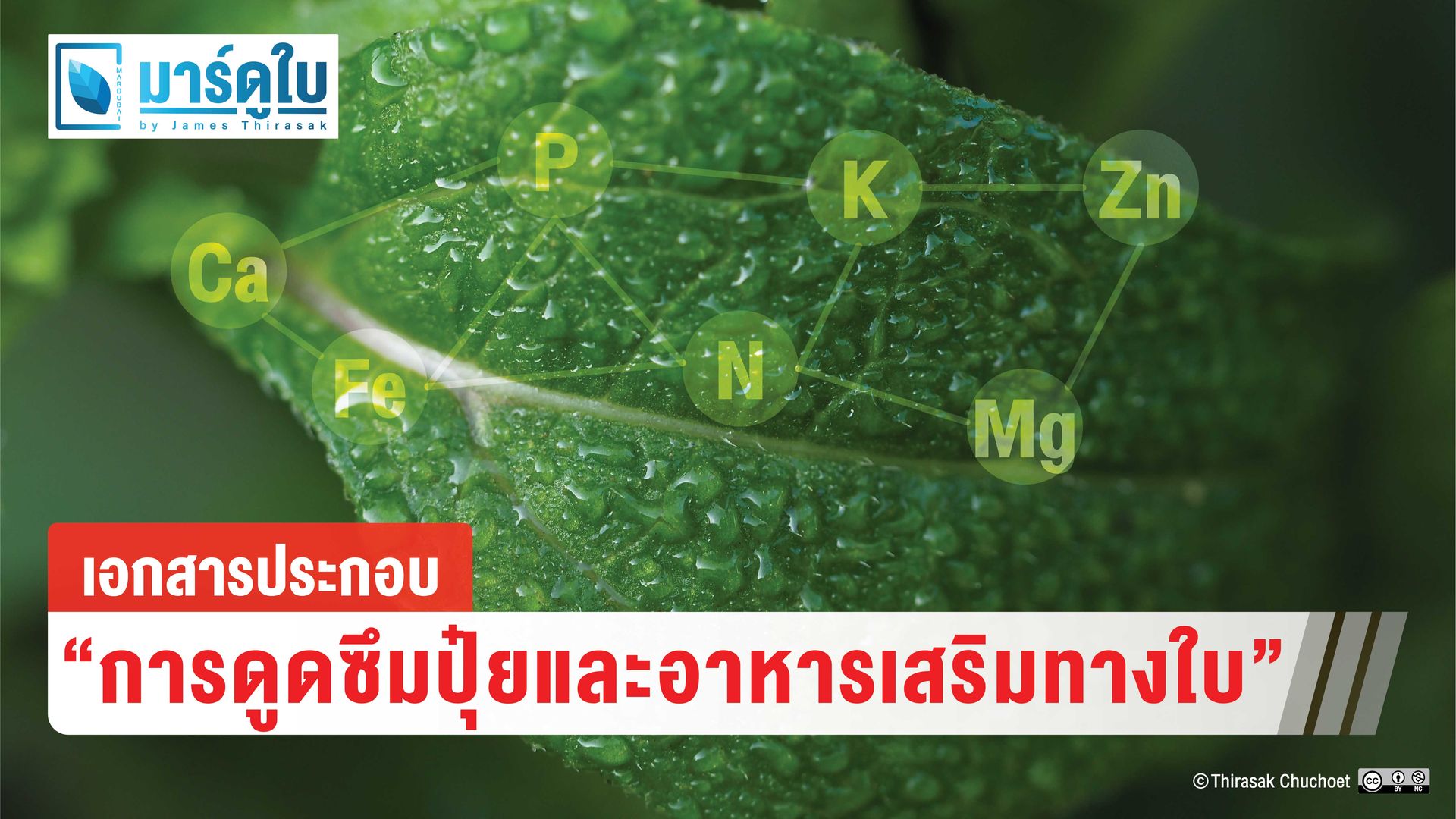 เอกสาร 