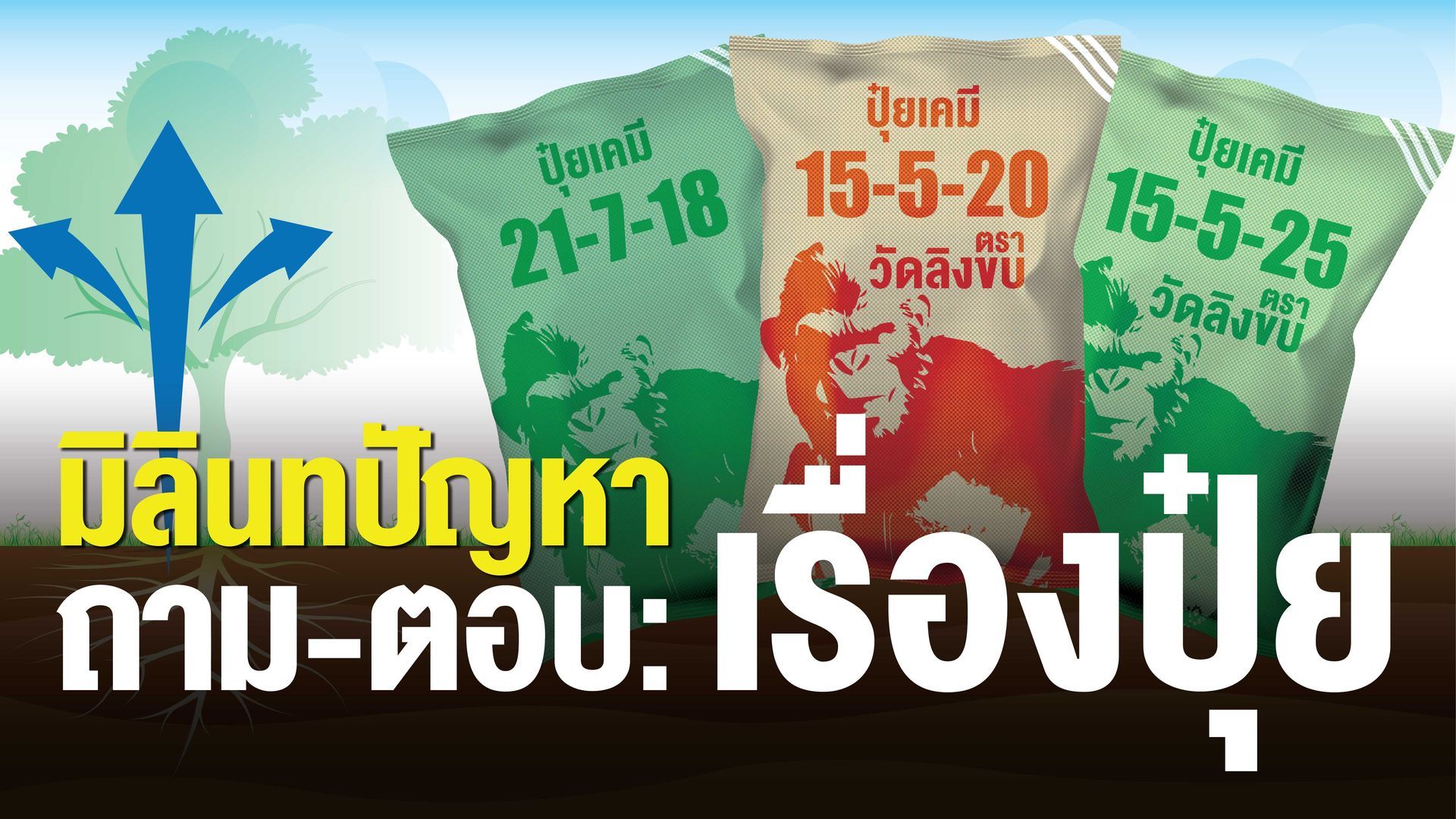 การเจริญเติบโตของพืชในแต่ละระยะจะใช้ปุ๋ย N-P-K ในสัดส่วนใกล้เคียงกันเสมอในการเจริญพัฒนา
