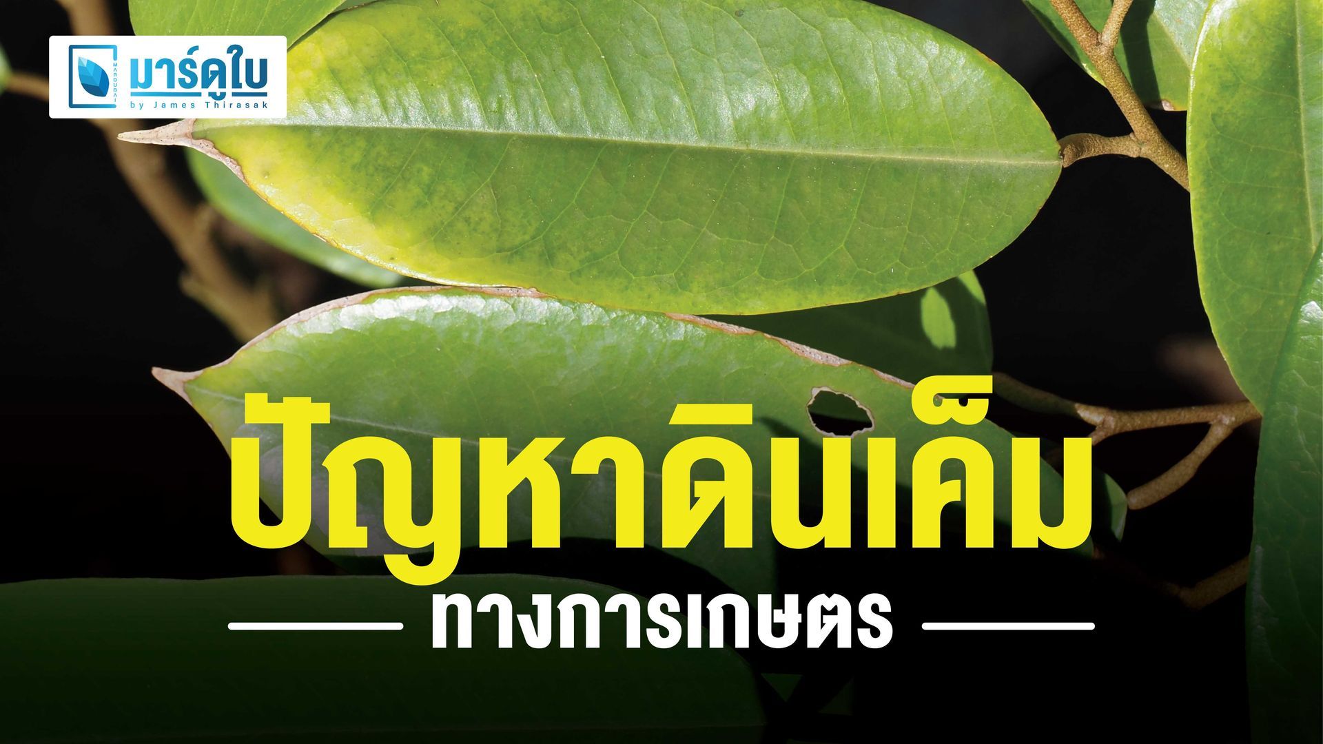 ผลกระทบของดินเค็มและน้ำเค็ม คือ พืชขาดน้ำ พืชขาดธาตุ ธาตุเป็นพิษ ดินเสีย