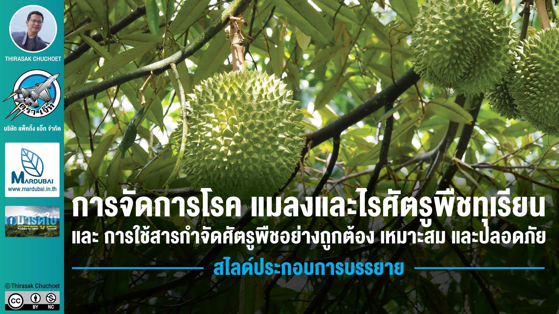 สไลด์ 