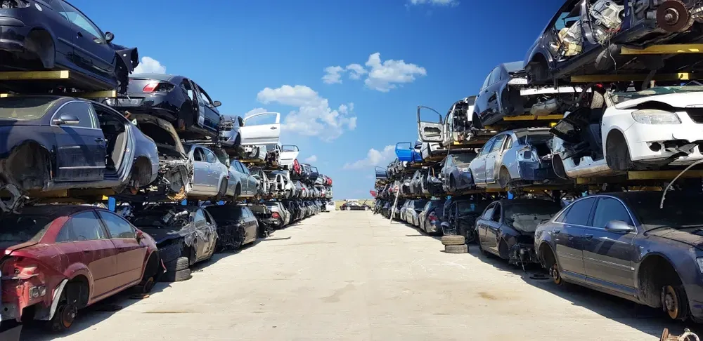 Stacked, salvaged cars on racks line both sides of a wide, sunlit path at a junkyard under a clear blue sky. — Murwillumbah Motor Wreckers in South Murwillumbah, NSW