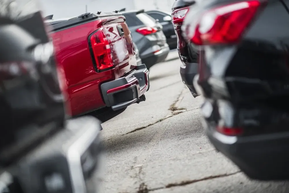 A row of cars and a red pickup truck parked on an outdoor lot, viewed from behind at close range. — Murwillumbah Motor Wreckers in South Murwillumbah, NSW