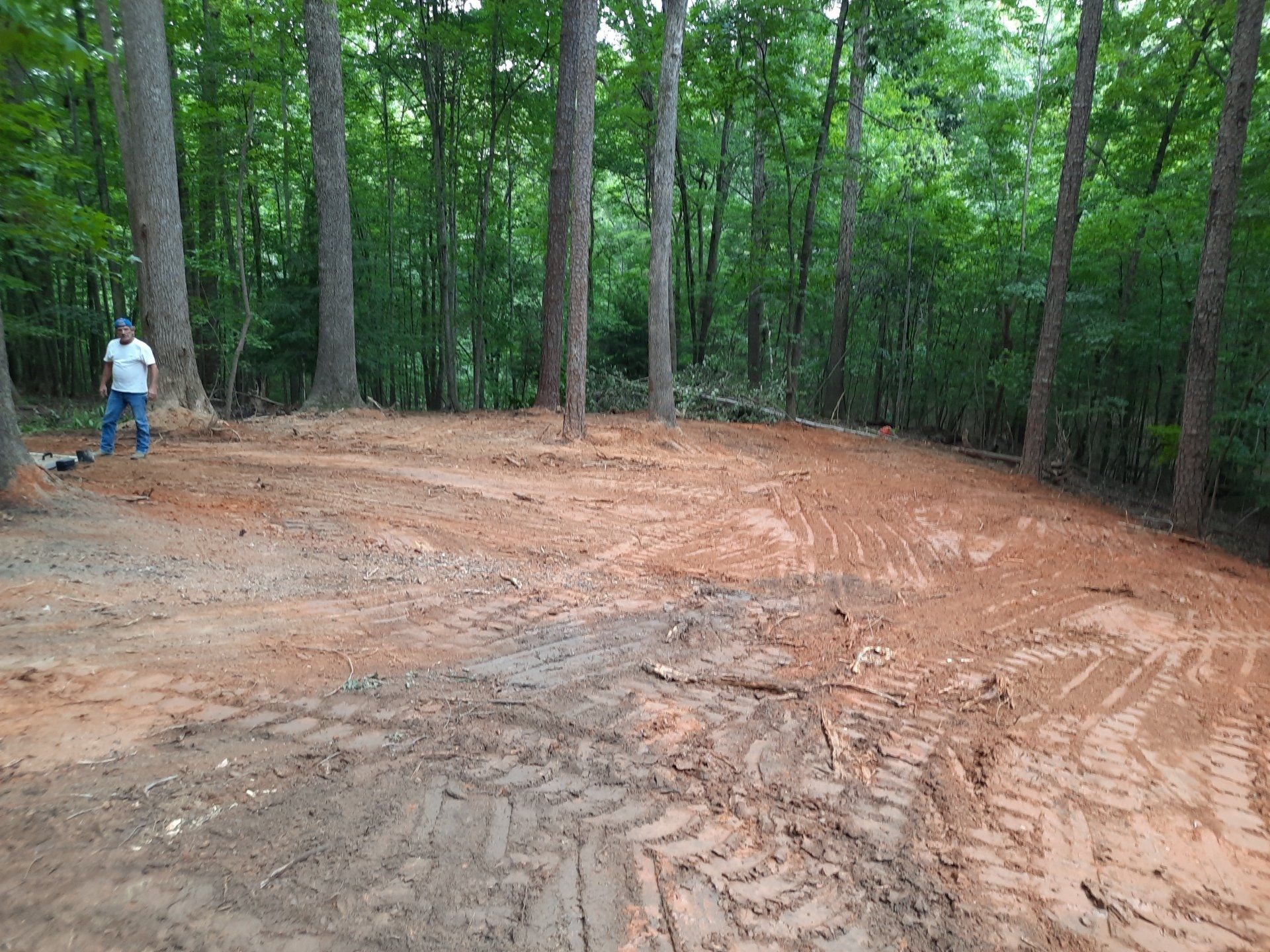 Person standing beside a muddy, cleared forest path with tall trees around it