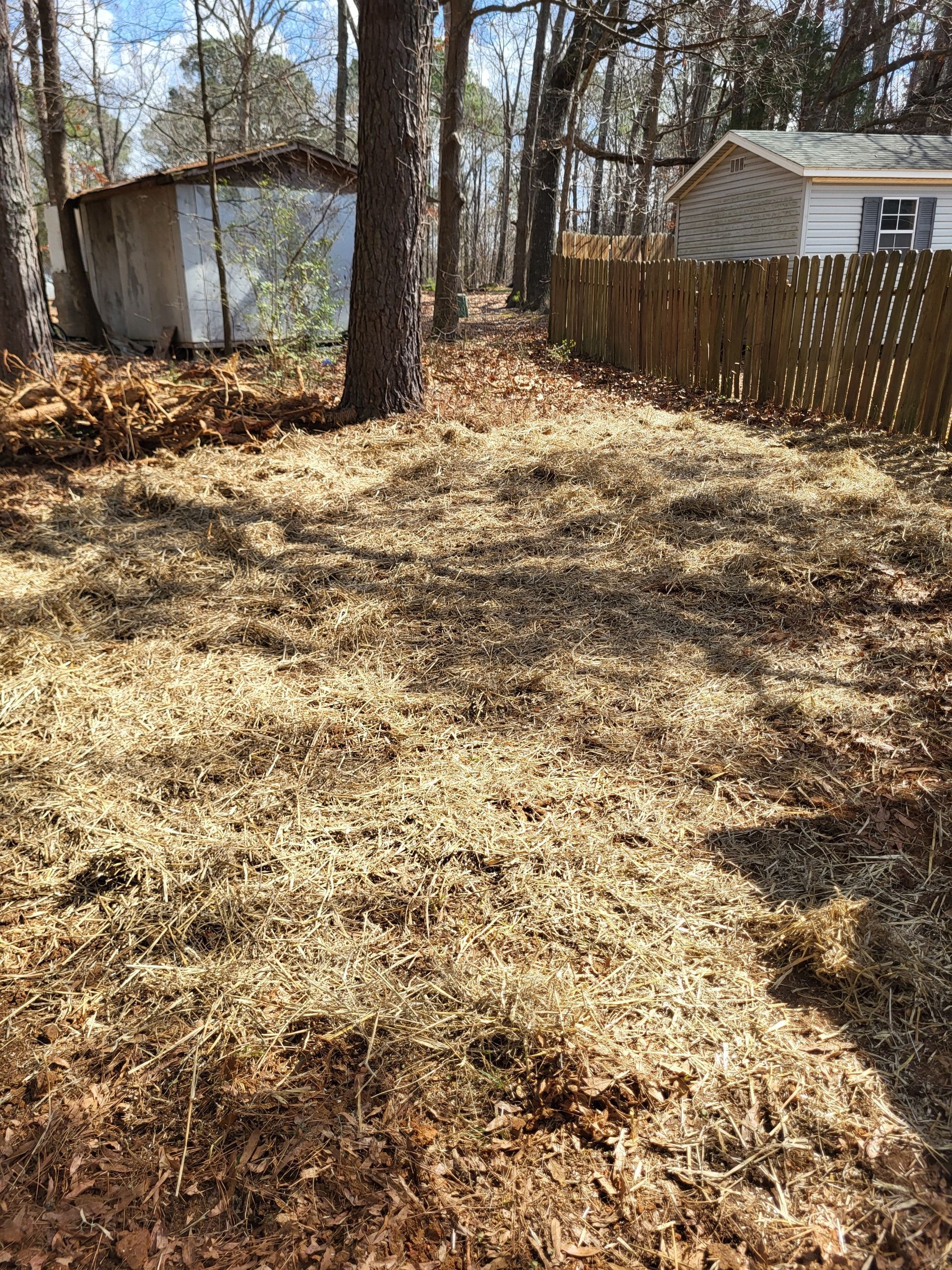 Leaf-covered yard with trees, a white shed, and a fenced house in the background.