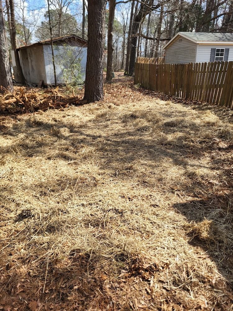 Dry grassy yard beside a white shed and house, with trees and a wooden fence in the background.