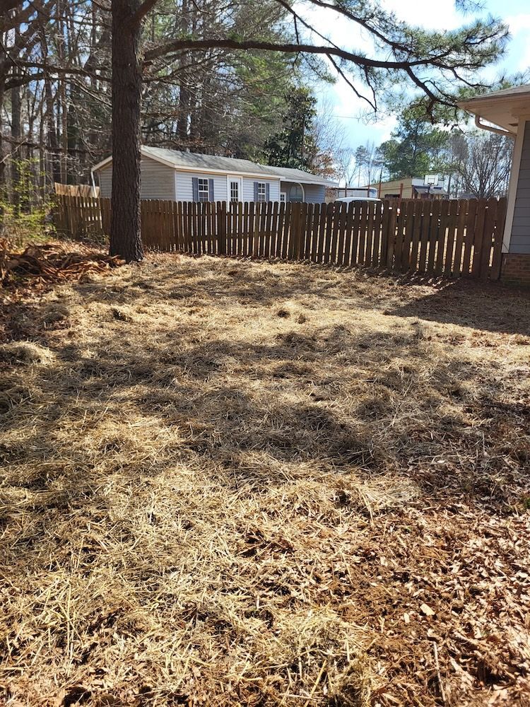 Wooded backyard with dry grass, a white shed, and a wooden fence in sunlight