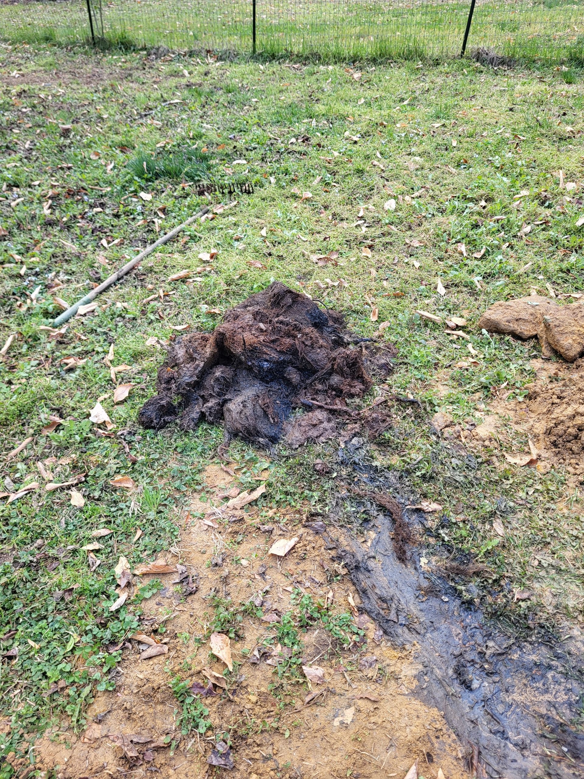 Burned patch of grass and debris in a yard, with a scorched trail across the ground