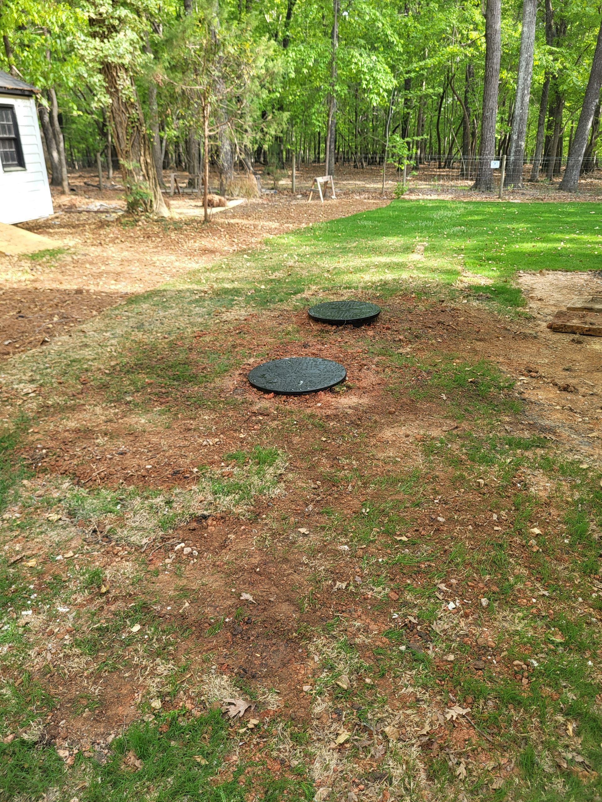 Two round green septic tank covers in a grassy, wooded yard