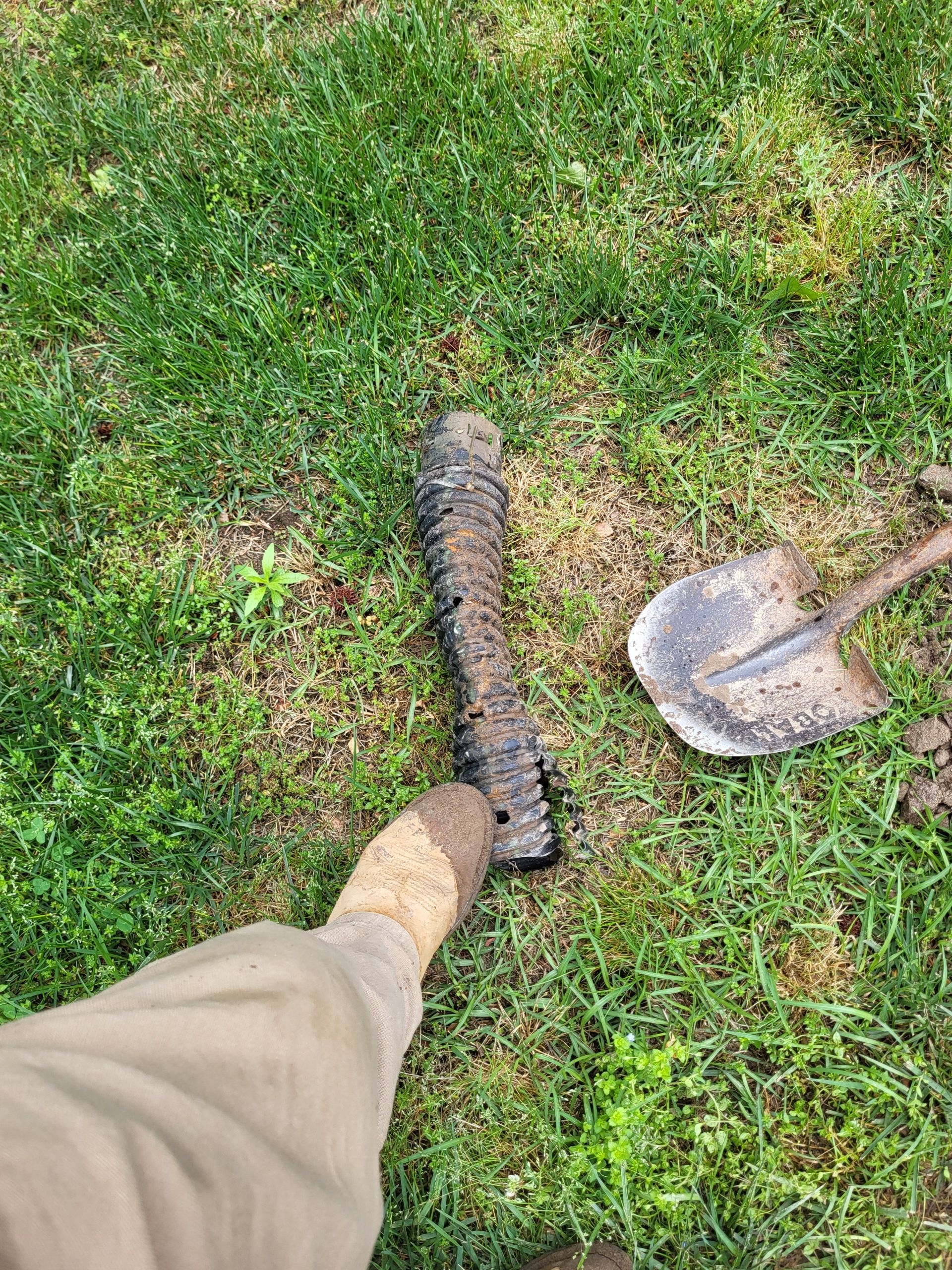Boot, shovel, and charred log on grass, likely after outdoor fire cleanup