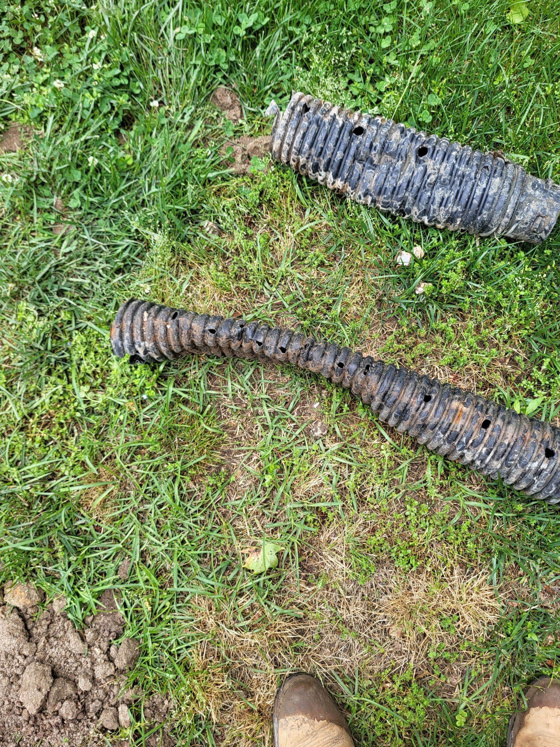 Two corrugated black hoses on grass near a dirt patch and a shoe tip