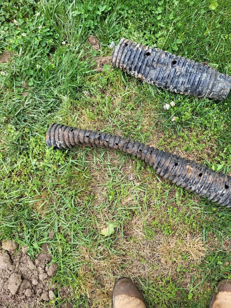 Two black corrugated hoses lying on grass beside a patch of dirt and a shoe tip