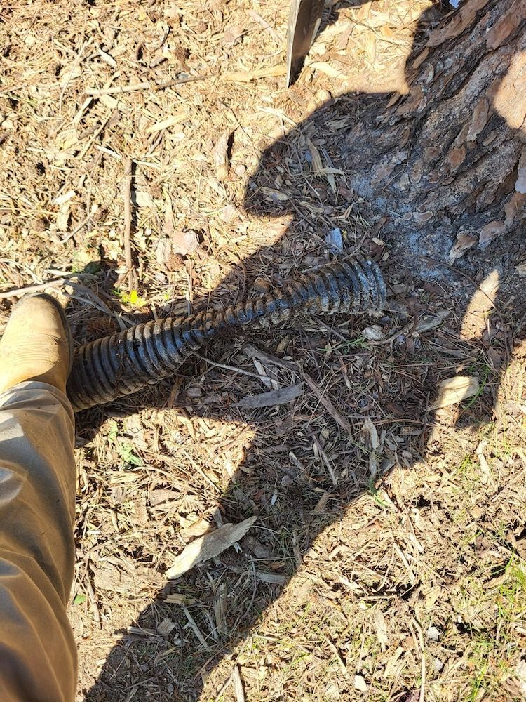 A black snake lies on dirt near a boot and rock in bright sunlight.