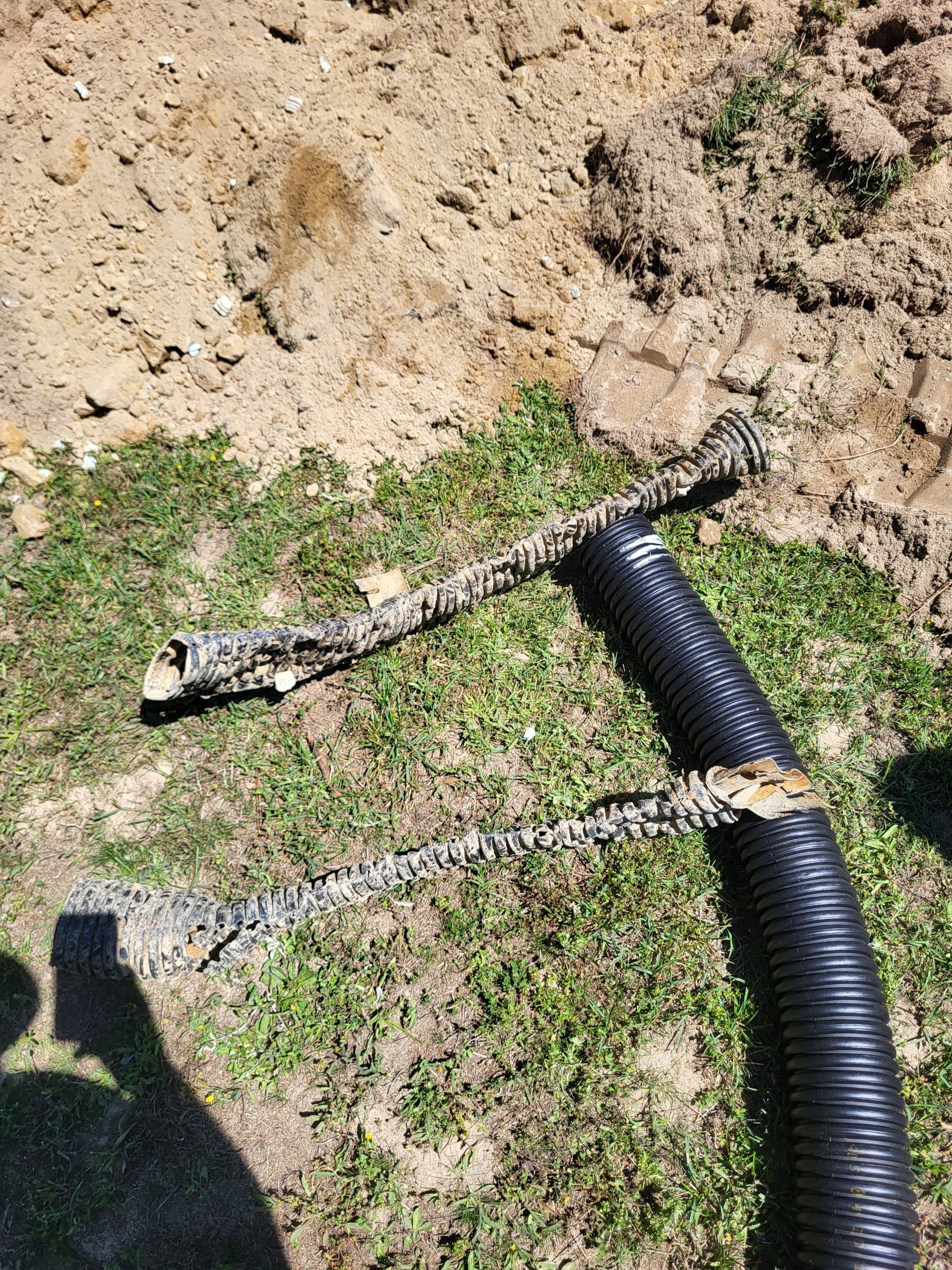 Two snakes lying on grass and dirt beside a black corrugated hose.