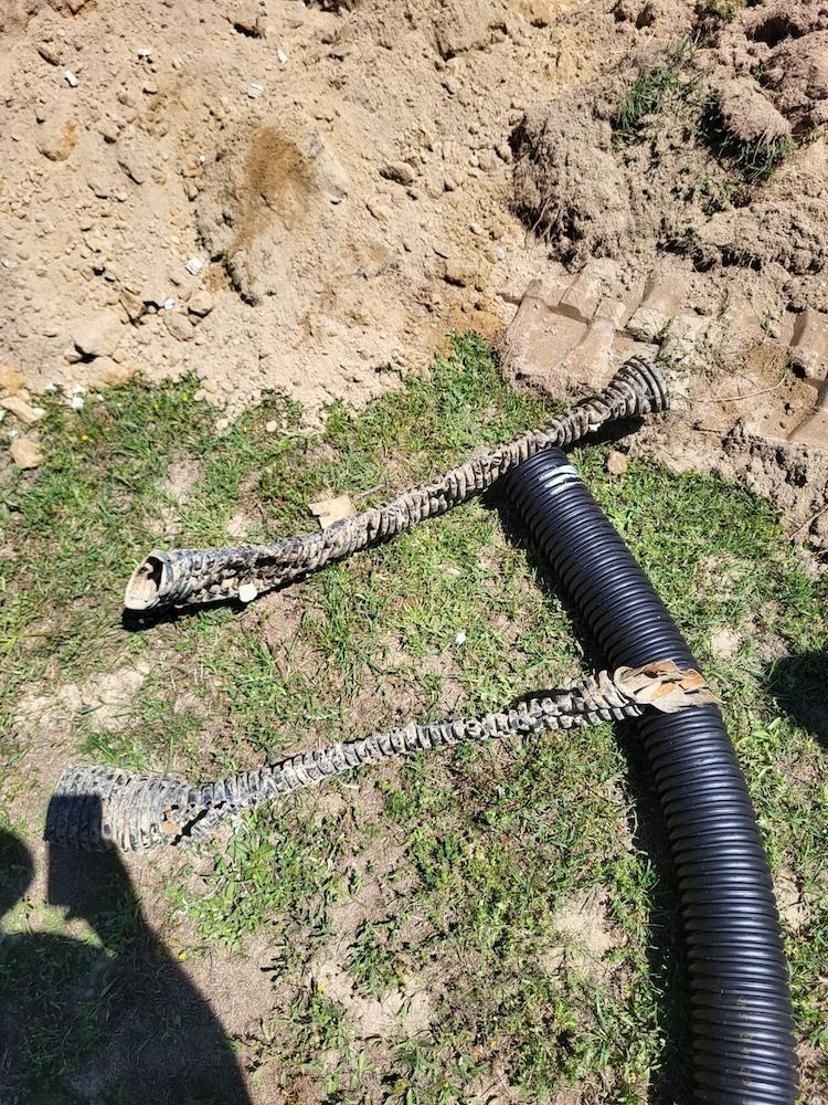 Two damaged snake-like hoses lying on dirt and grass beside a black corrugated pipe.