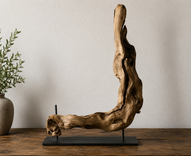 Scultura in legno di mare contorto, poggiata su un supporto nero sopra un tavolo di legno, contro una parete chiara.