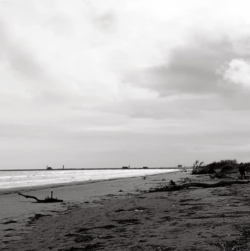 Spiaggia in bianco e nero con legni portati dalla corrente, acqua calma e cielo nuvoloso.