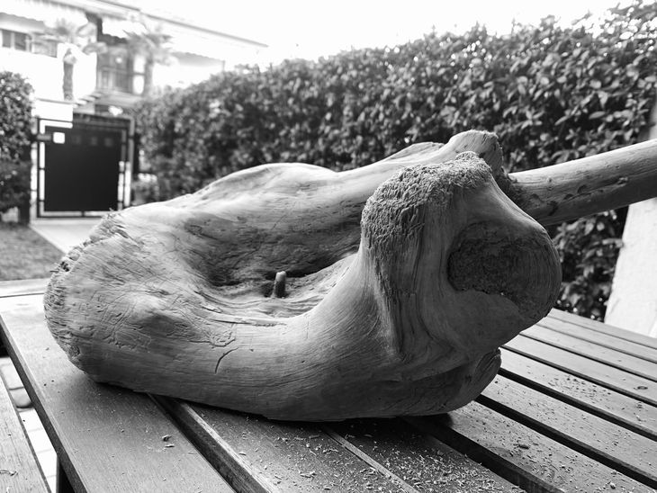Scultura in legno a forma di testa di elefante su un tavolo a doghe all'aperto, con siepi e un edificio sullo sfondo.