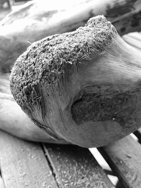 Primo piano di un palo di legno grezzo e consumato dalle intemperie su una panchina a doghe all'aperto.