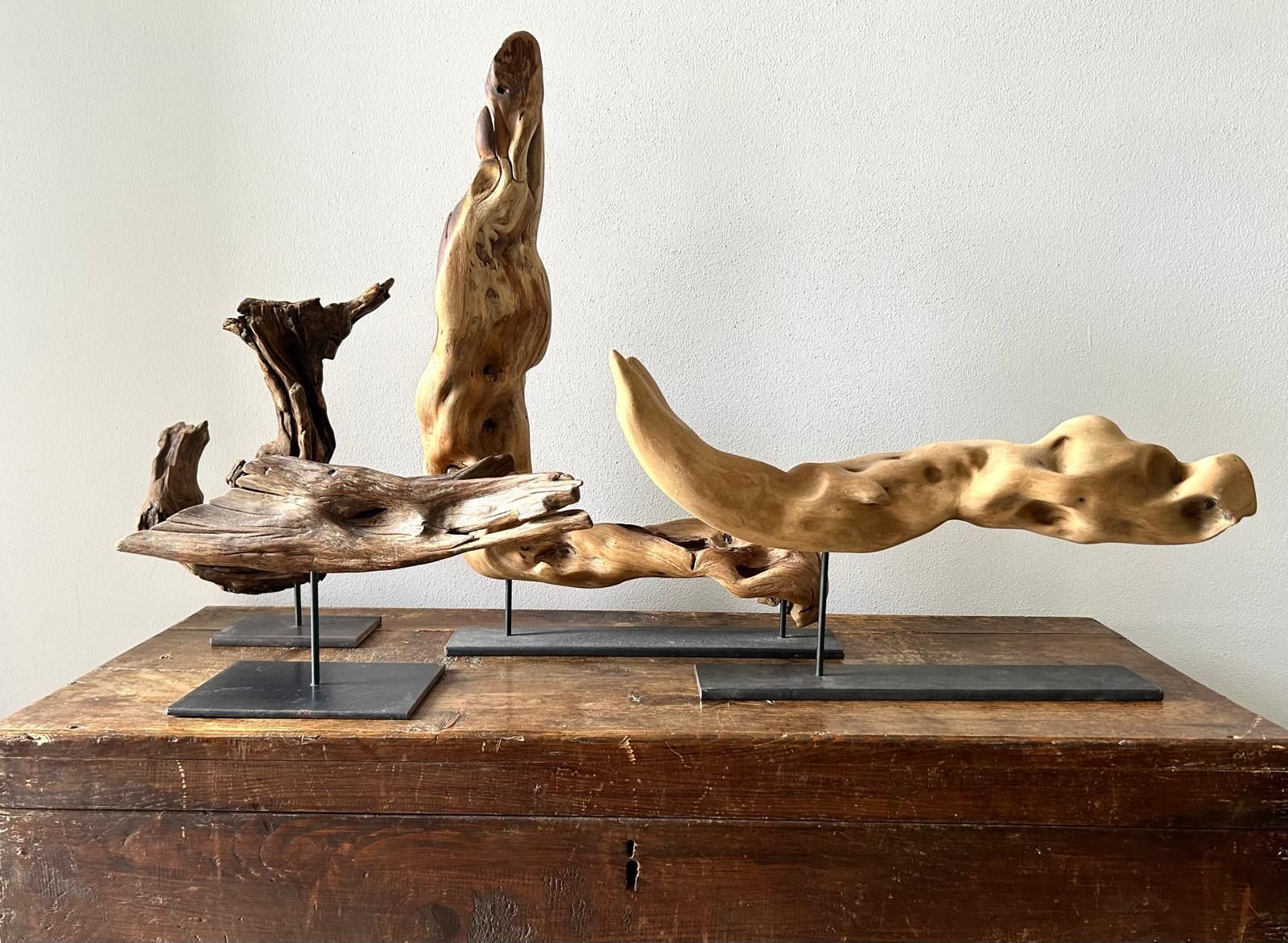 Scultura astratta in legno di mare su base metallica, appoggiata a una parete spoglia.