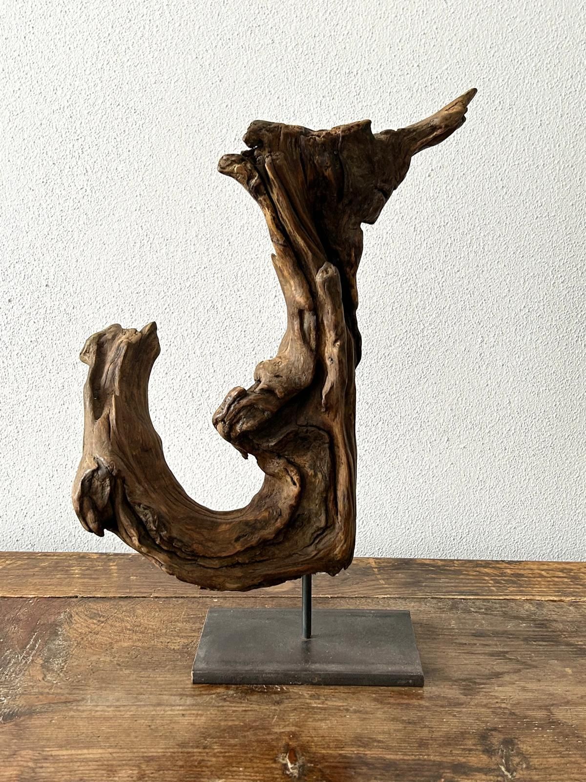 Scultura astratta in legno di deriva su un supporto in metallo nero su sfondo chiaro.