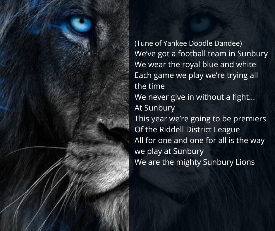 A picture of a black lion with blue eyes. Team Song.