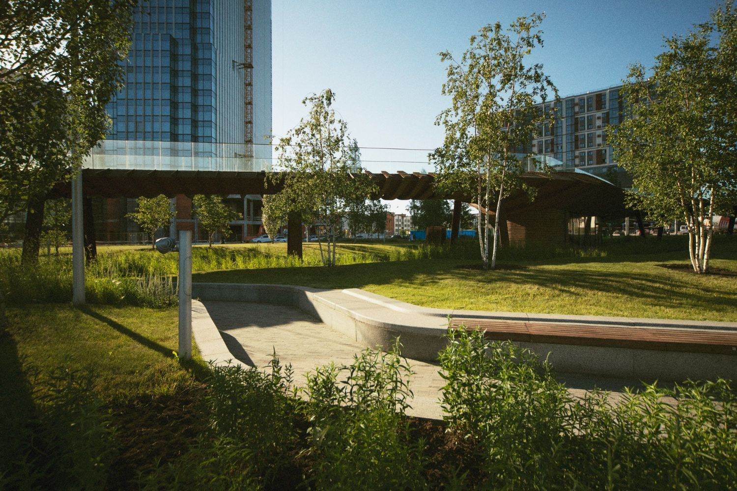 Ein Park mit einem großen Gebäude im Hintergrund und Bäumen im Vordergrund.