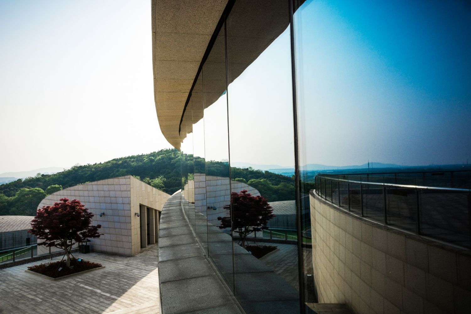 Ein Gebäude mit der Spiegelung eines Baumes im Fenster.
