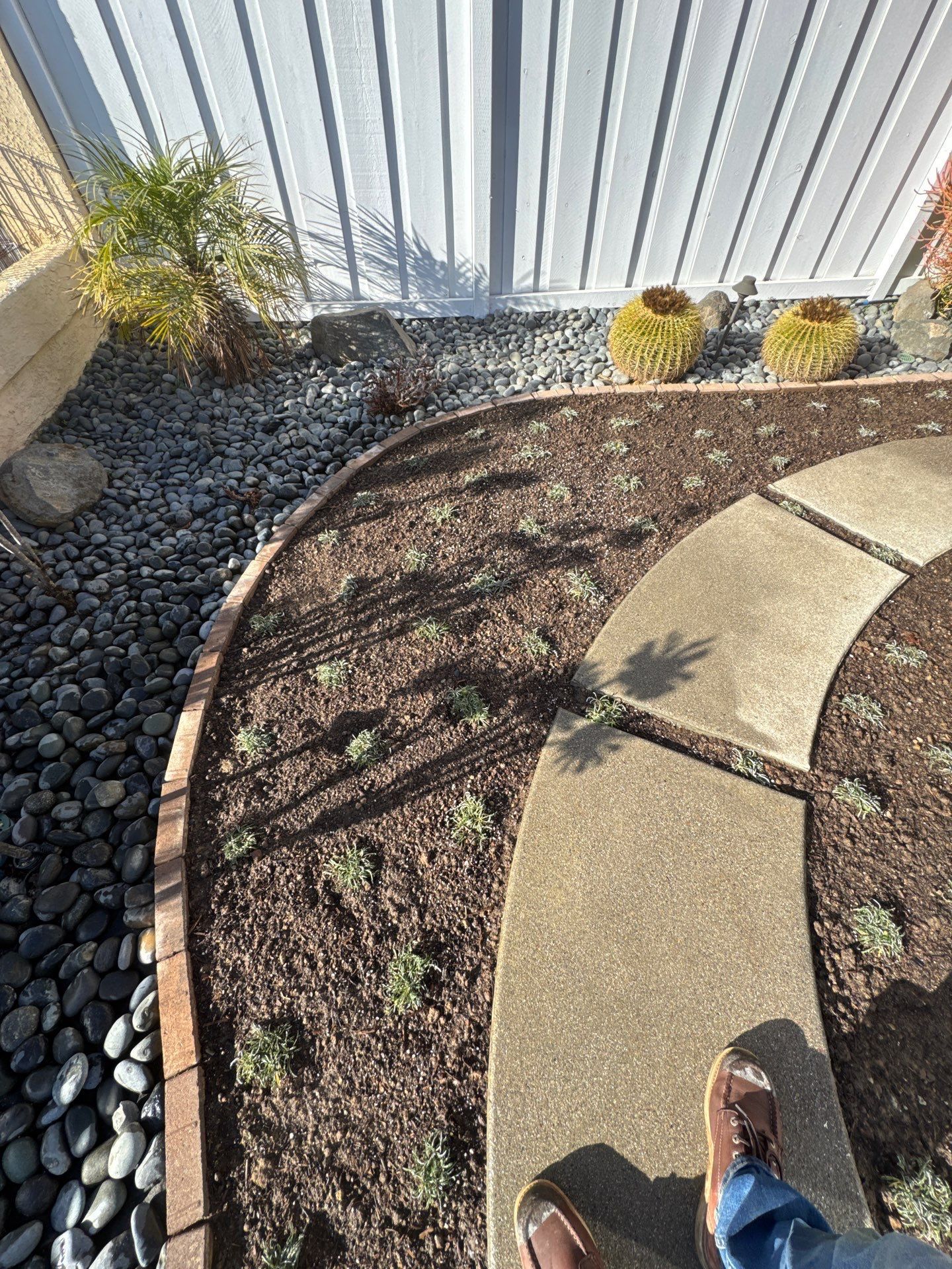 Curved stone pathway through a garden bed with mulch and small plants, beside a bed of black rocks.