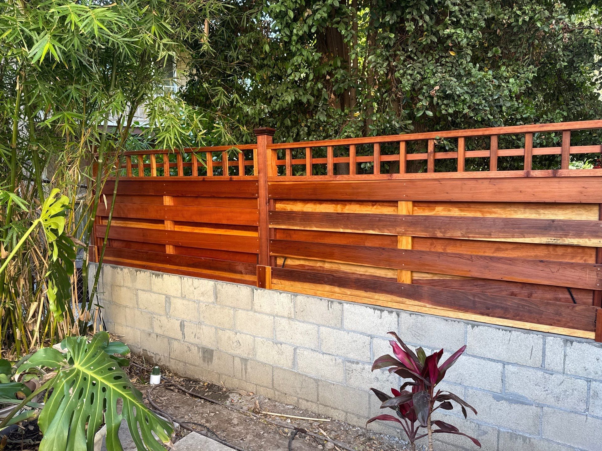 Wooden fence with lattice top atop a concrete block wall, next to bamboo and foliage.